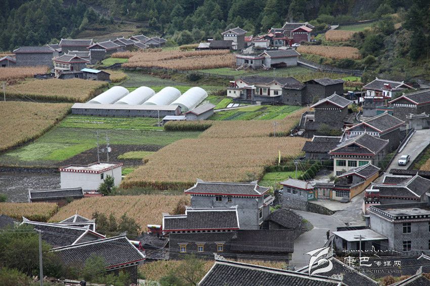 九龍新村美如畫(huà).