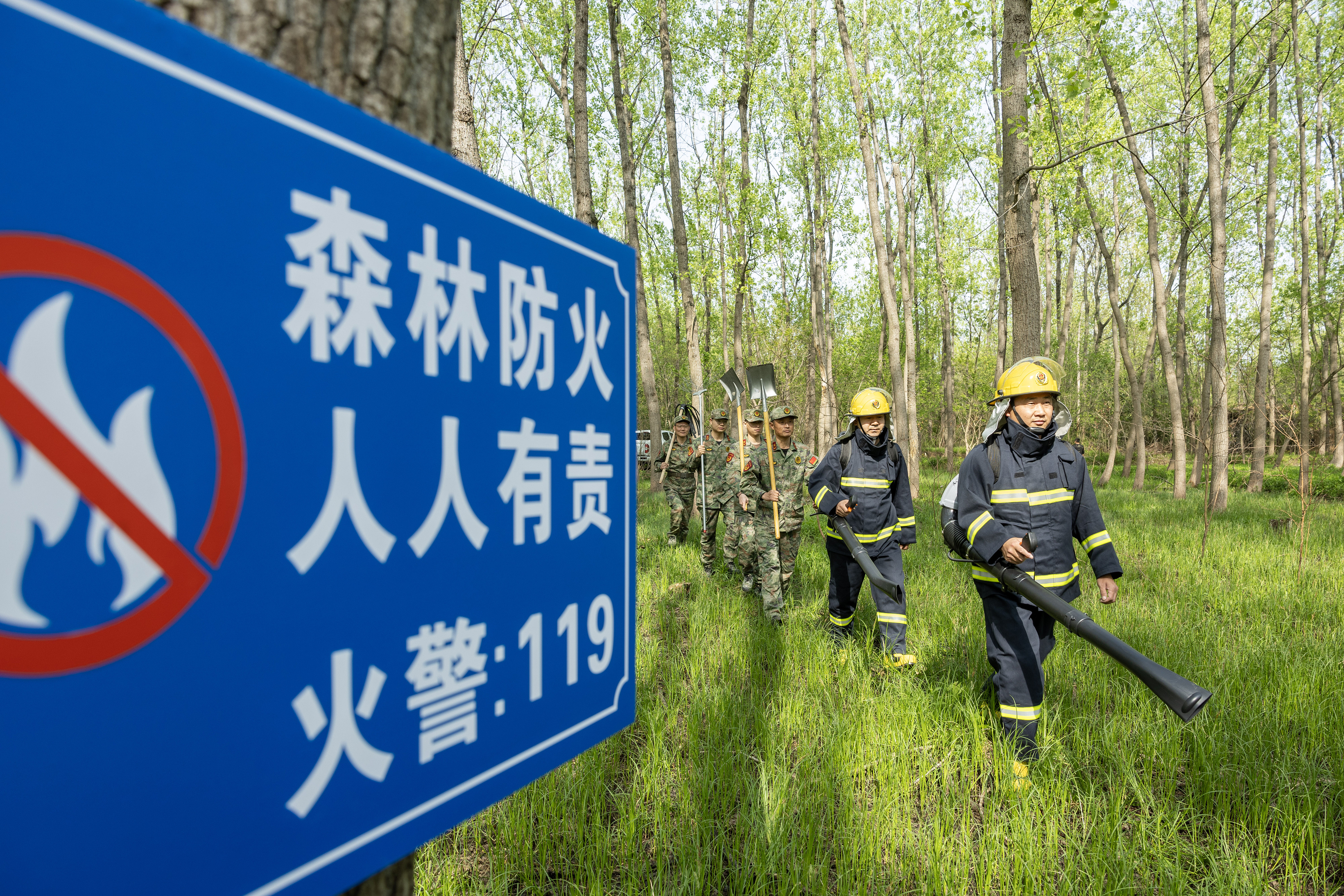 2024年4月9日，合肥市大房郢水庫水源保護地廬陽經(jīng)濟開發(fā)區(qū)段，基干民兵正在林間巡查火災(zāi)隱患。