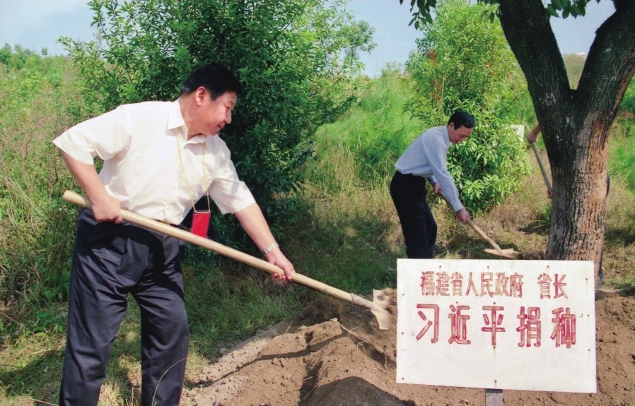 2001年10月，習近平在龍巖市長汀縣調研水土流失治理工作，在河田世紀生態(tài)園為樹培土。圖源：《習近平在福建（下）》