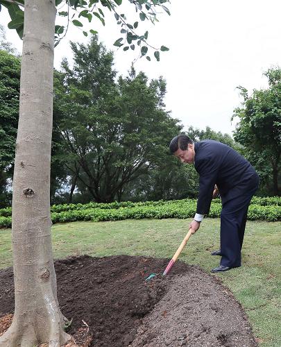 2012年12月7日至11日，習近平在廣東省考察工作。這是8日上午，習近平在深圳蓮花山公園種下一棵高山榕樹。新華社記者 蘭紅光 攝